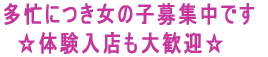 ���Z�ɂ����̎q��W���ł� �@���̌����X���劽�}�� 